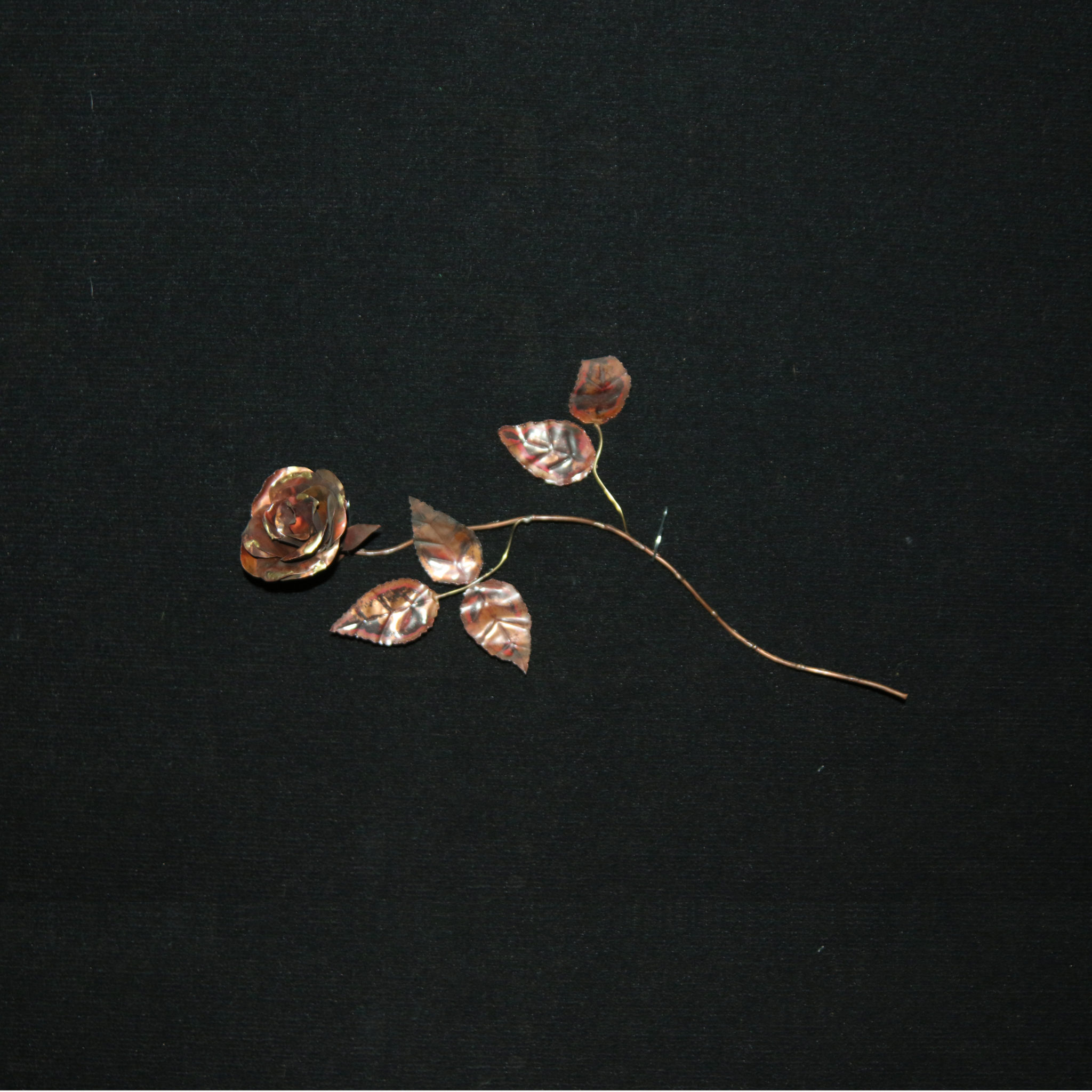 Copper Rose - Gary Berger