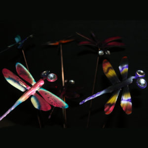 Dragonflies by Ray Berger