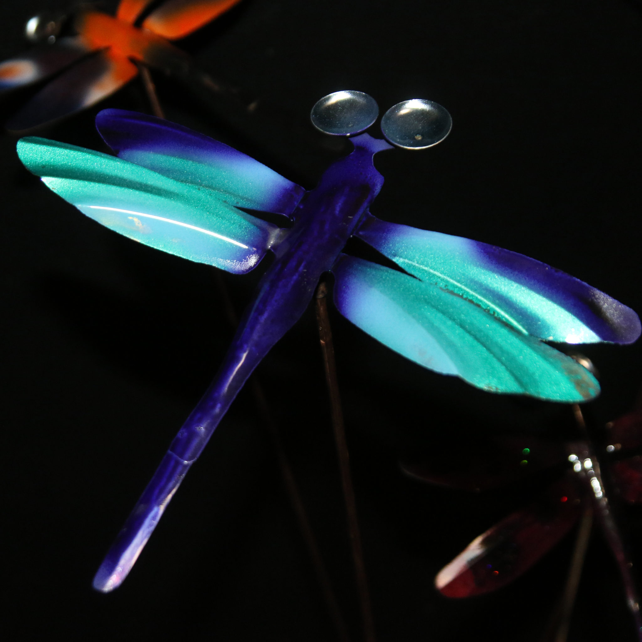 dragonflies by raymond berger