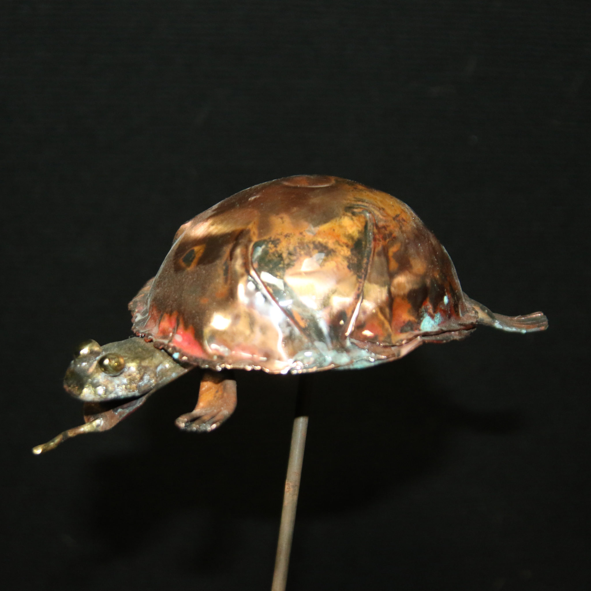 copper turtle by ray berger